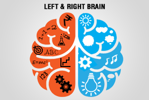 Brain Dominance Scale